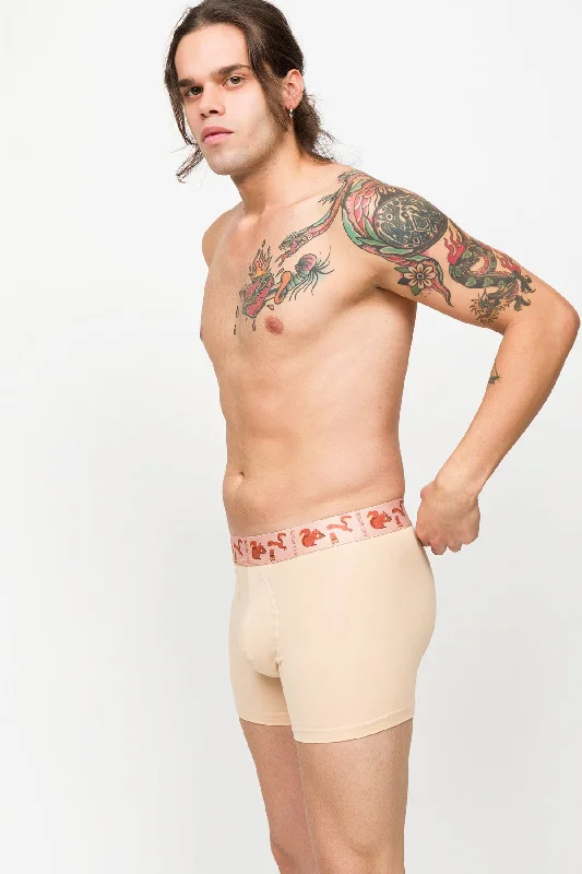 Eco Characters 3-Pack Men's Boxer - Ecological